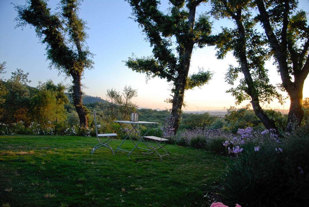 Giardino Dei Sugheri Scarlino Buitenkant foto